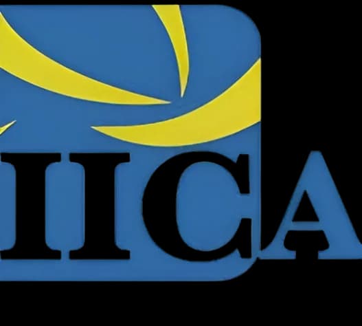 IICA — Indian Institute of Corporate Affairs