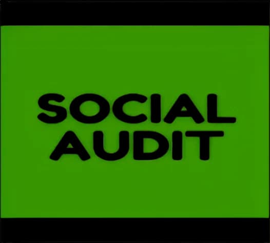 Social Audit — Certified auditor