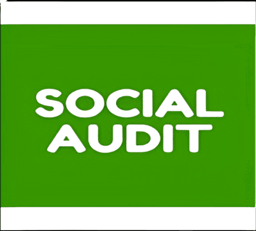 Social Audit — Certified auditor